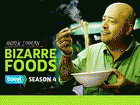 Watch Bizarre Foods with Andrew Zimmern - Series 4 Online Free