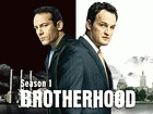 Watch Brotherhood - Series 1 Online Free