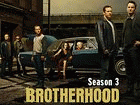 Watch Brotherhood - Series 3 Online Free