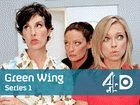 Watch Green Wing - Series 1 Online Free