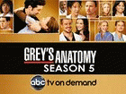 Watch Grey's Anatomy - Series 5 Online Free