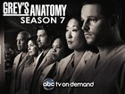 Watch Grey's Anatomy - Series 7 Online Free