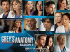 Watch Grey's Anatomy - Series 8 Online Free