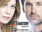 Watch Grey's Anatomy - Series 9 Online Free