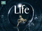 Watch Life Online Free