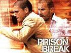 Watch Prison Break - Series 2 Online Free