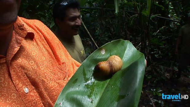 Bizarre Foods with Andrew Zimmern - Series 1 - Episode 4