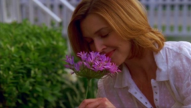 Desperate Housewives - Series 1 - Episode 1