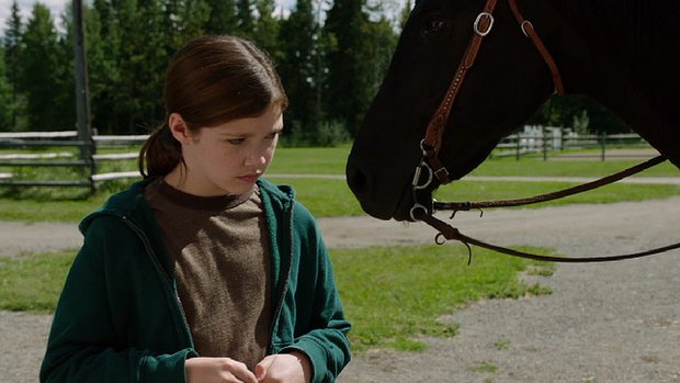 Heartland - Series 6 - Episode 10