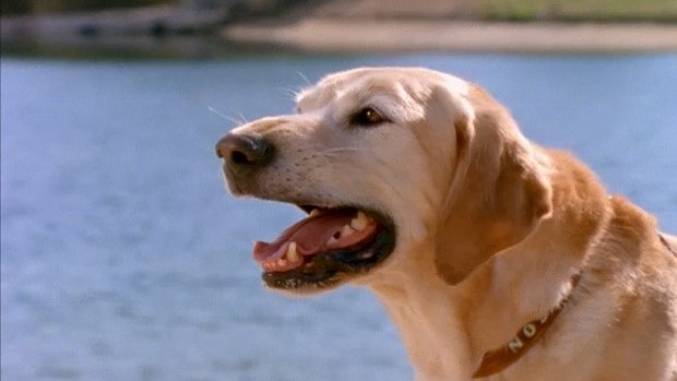 Power Rangers Turbo - Series 1 - Episode 38