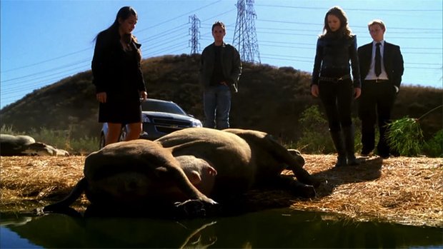 Terminator: The Sarah Connor Chronicles - Series 2 - Episode 15