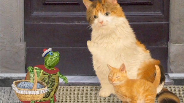 Wonder Pets - Series 3 - Episode 17