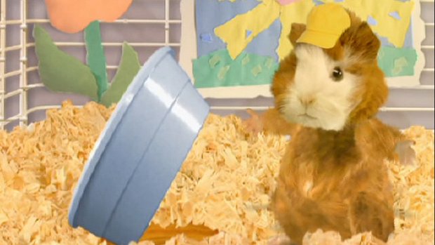 Wonder Pets - Series 3 - Episode 18